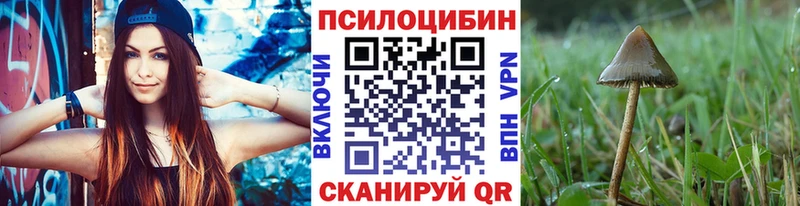 Галлюциногенные грибы ЛСД магазин продажи наркотиков Ермолино
